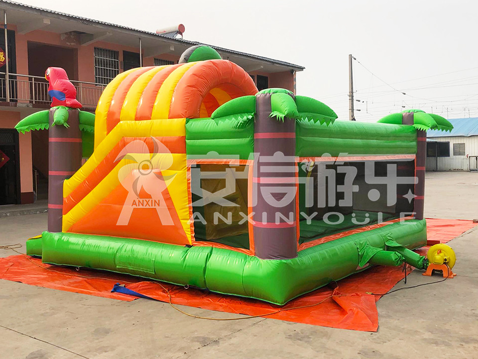 inflatable bouncy castle combo