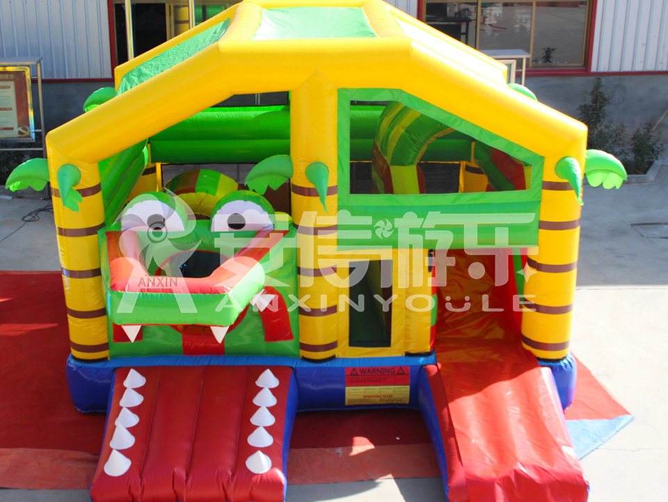 inflatable bouncy castle combo