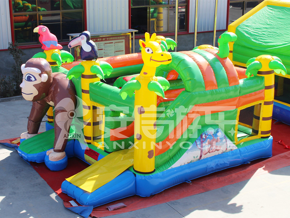 inflatable bouncy castle combo