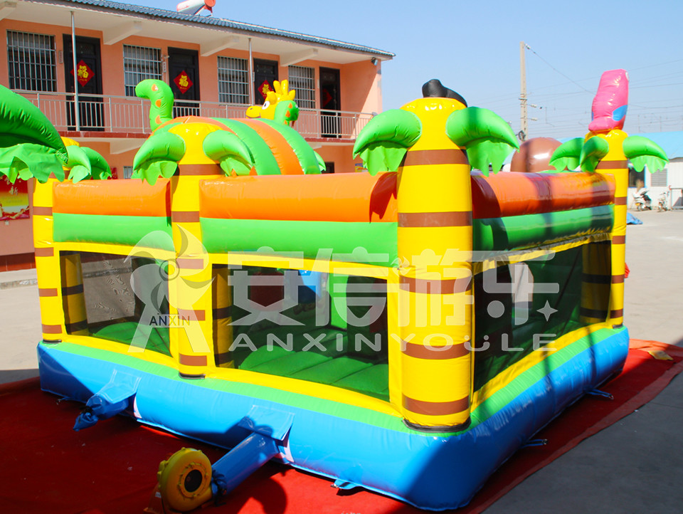 inflatable bouncy castle combo