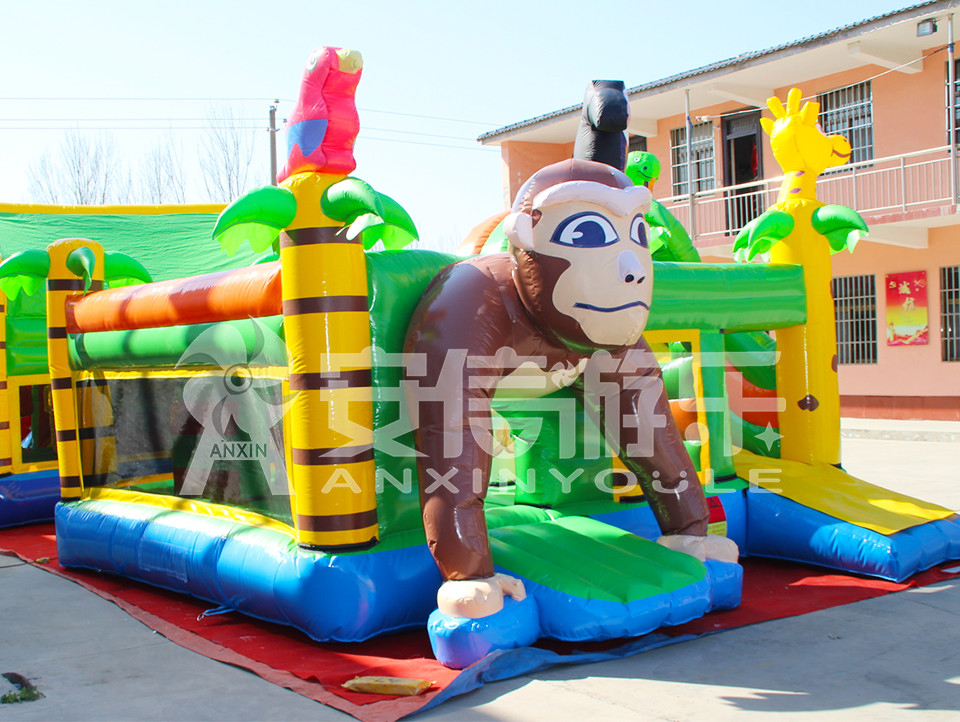 inflatable bouncy castle combo