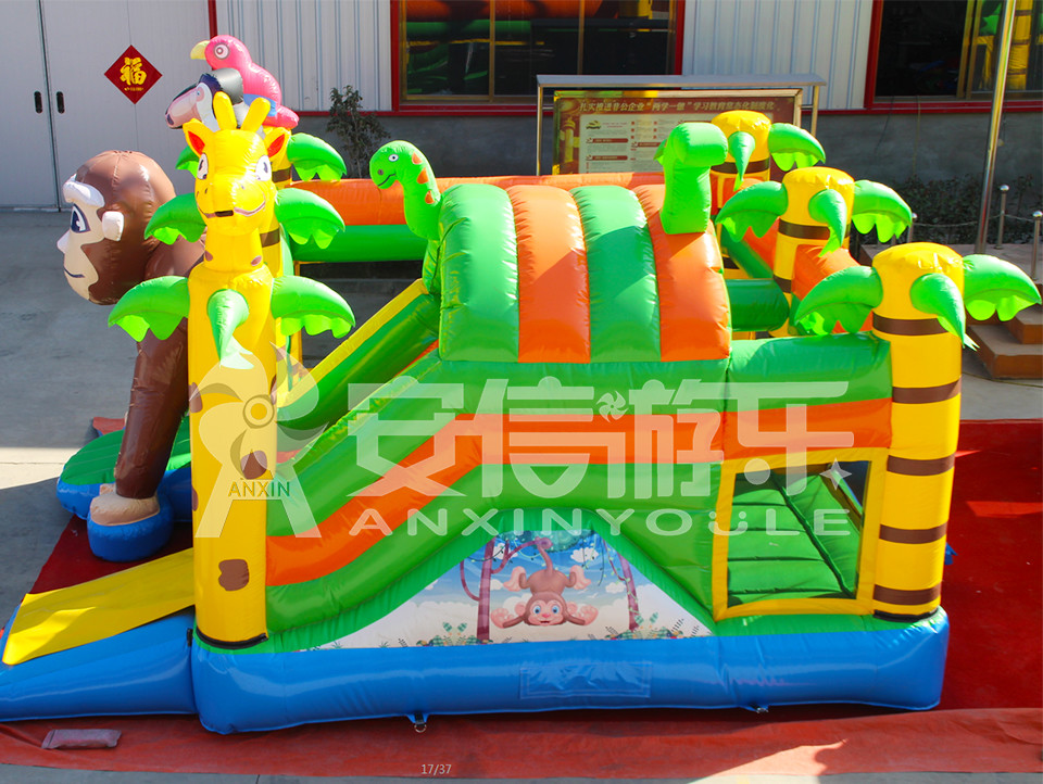 inflatable bouncy castle combo