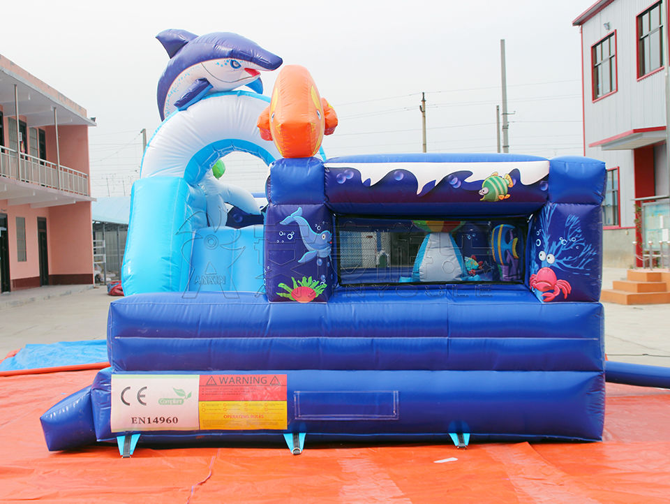 inflatable bouncy castle combo