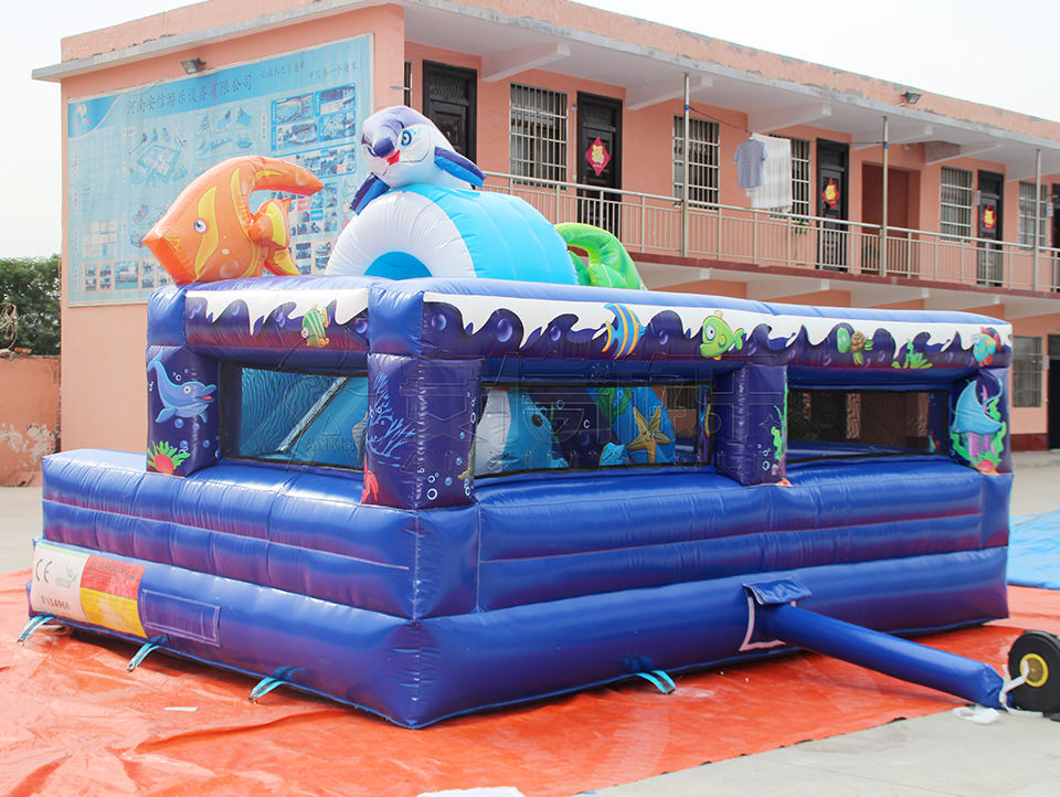 inflatable bouncy castle combo