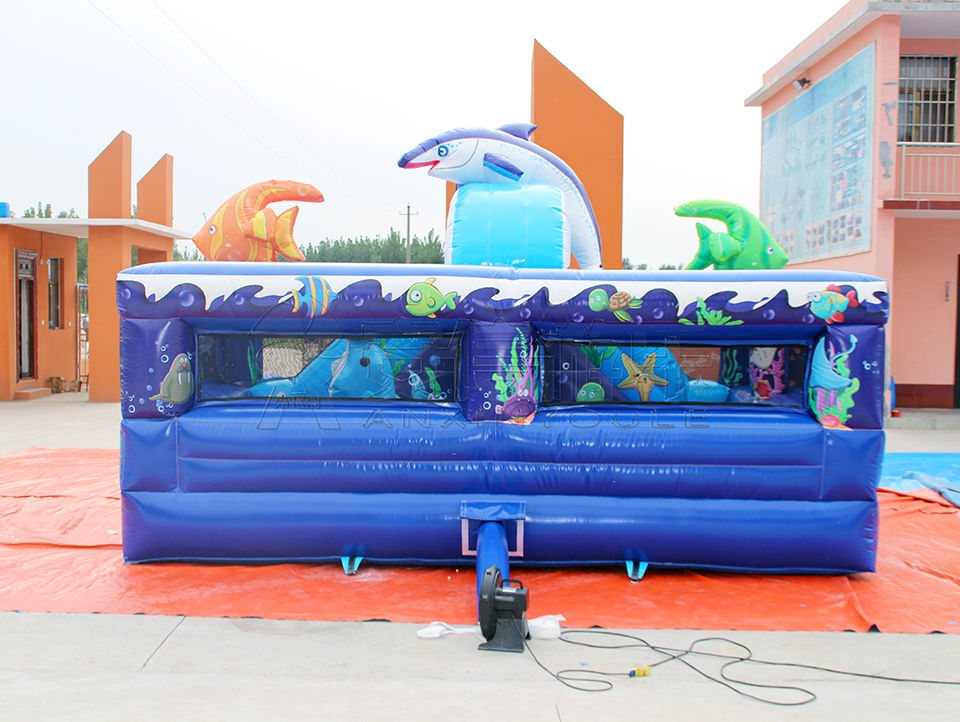 inflatable bouncy castle combo