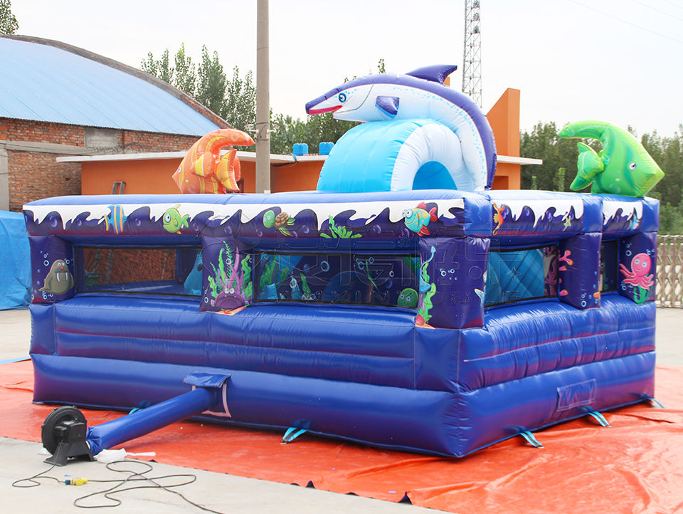 inflatable bouncy castle combo