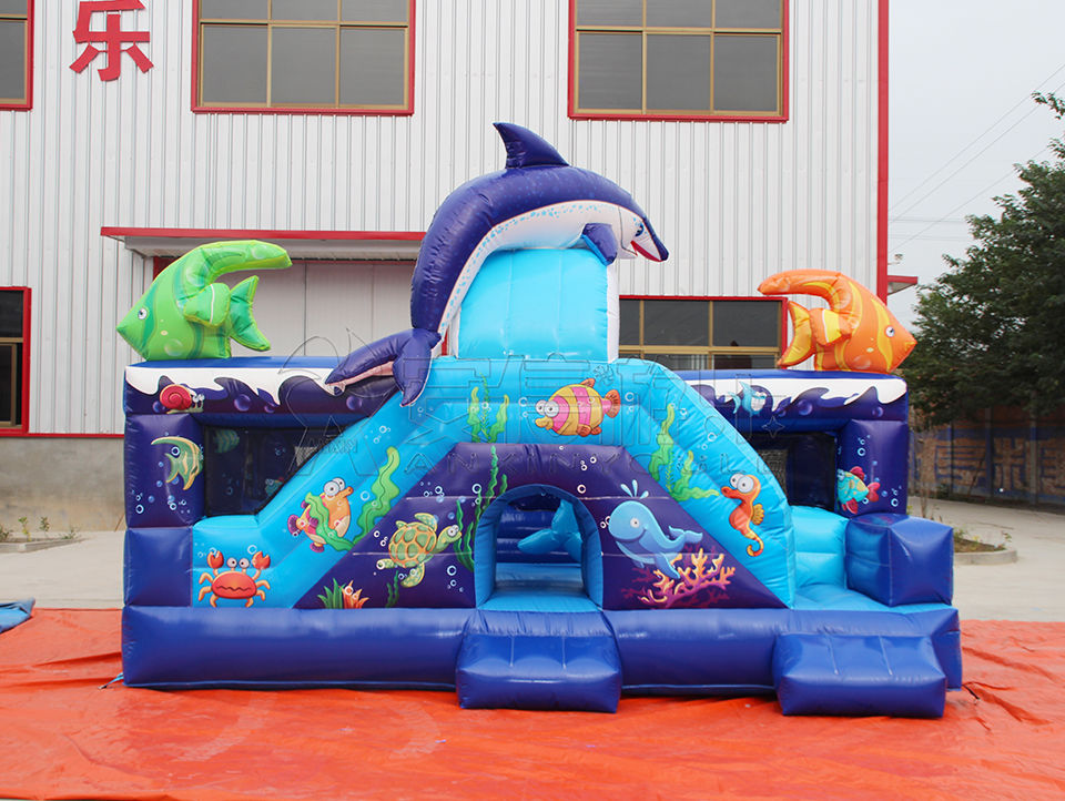 inflatable bouncy castle combo