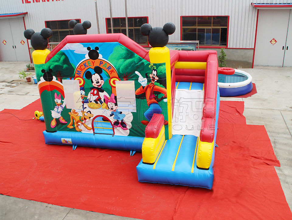 inflatable bouncy castle combo