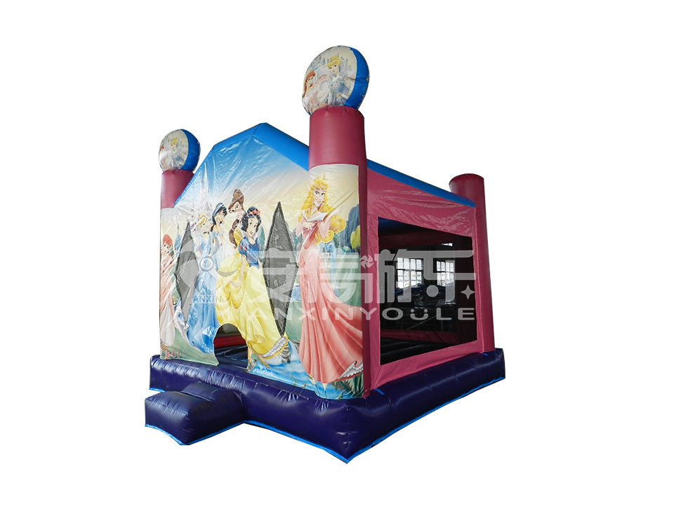 inflatable castle