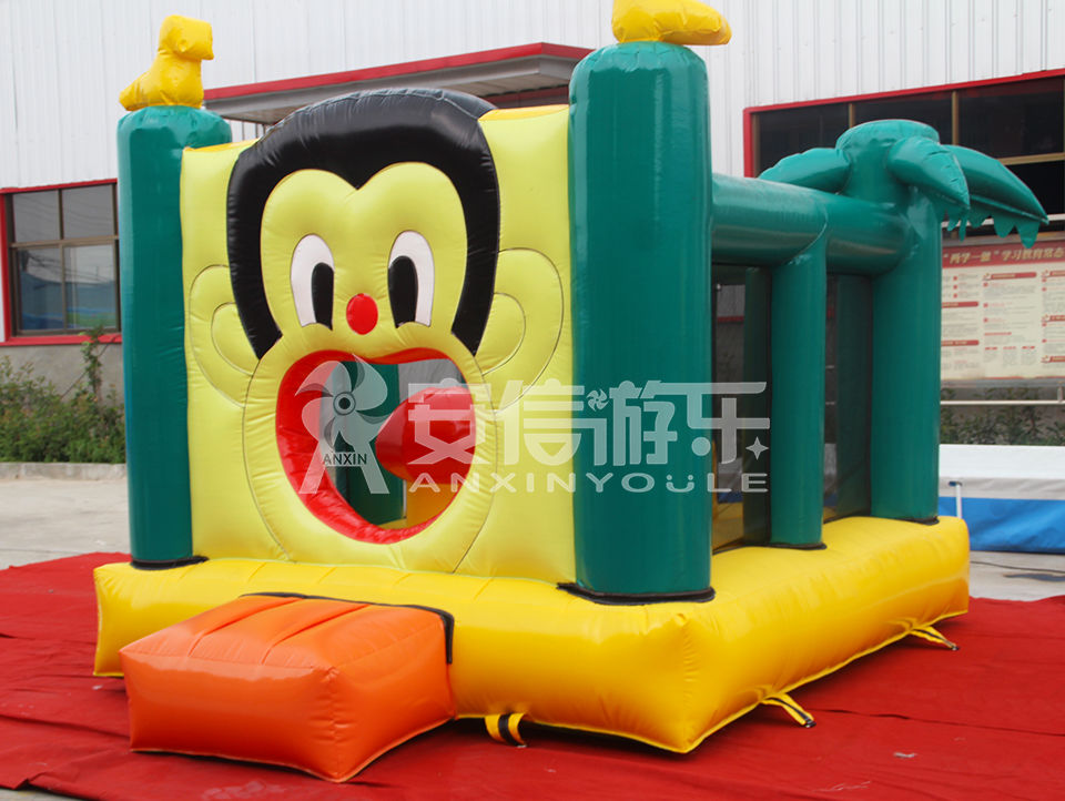 inflatable castle