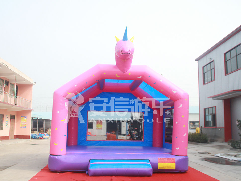 inflatable castle