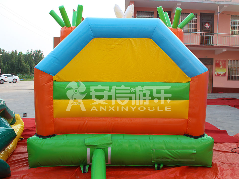 inflatable castle