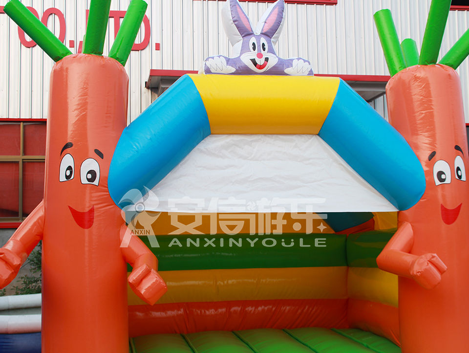 inflatable castle