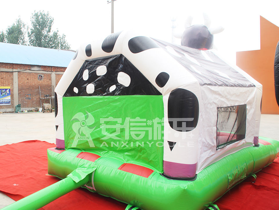 inflatable castle