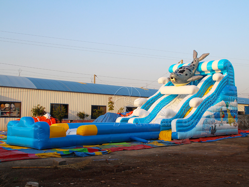 Giant inflatable water slide