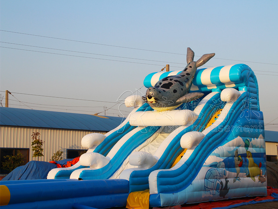 Giant inflatable water slide