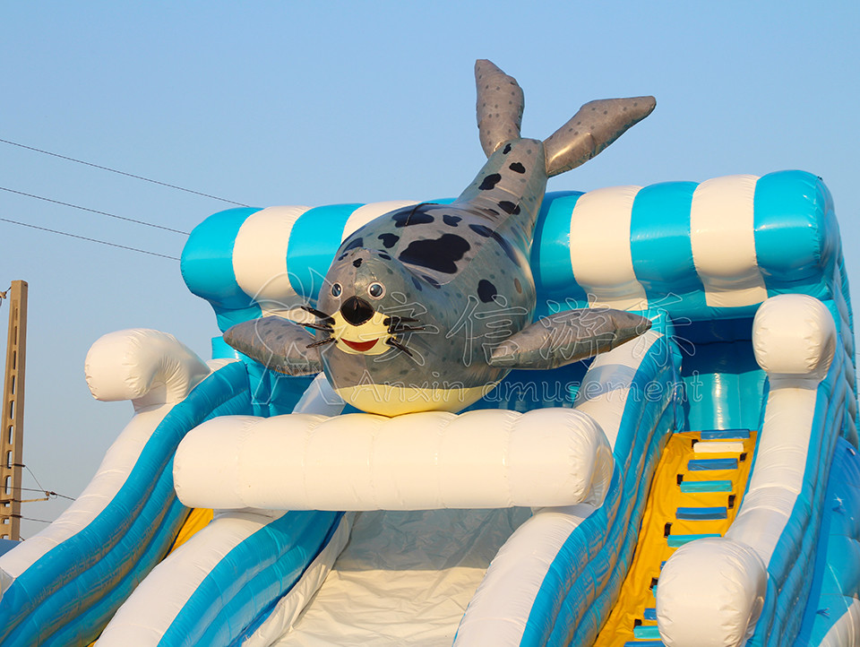 Giant inflatable water slide