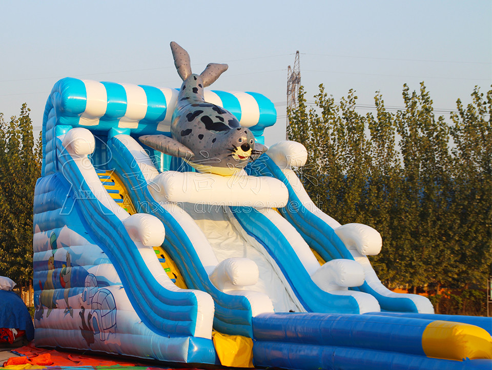 Giant inflatable water slide