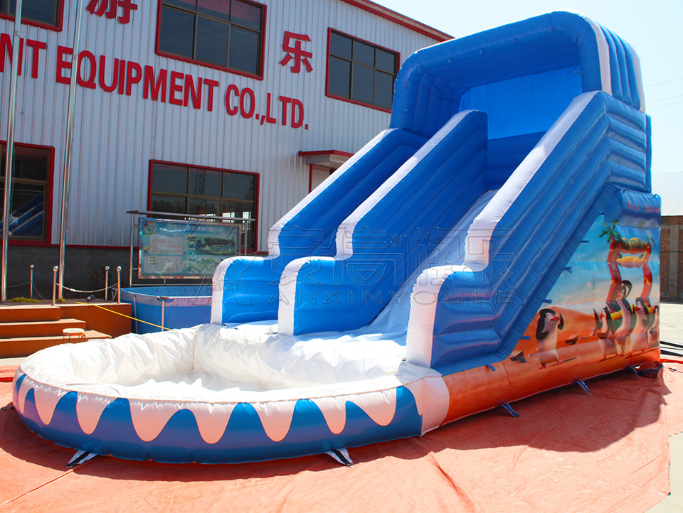 Giant inflatable water slide